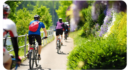 Adult Lightweight Trek Bike